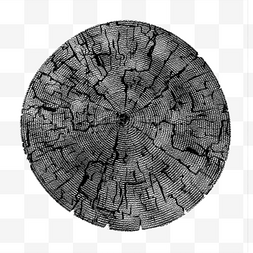 材质横切面图片_黑白树木横隔面皲裂纹理