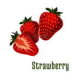 植物产品图片_草莓水果一束孤立的草莓茎上有叶