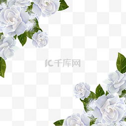 夏季植物背景图片_栀子花边框植物水彩