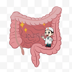 红烧大肠面图片_人体肠道健康医疗内脏器官大肠小