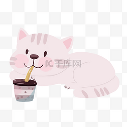 猫咪喝奶茶悠闲