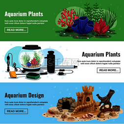 一组带有水族馆植物和设计元素的