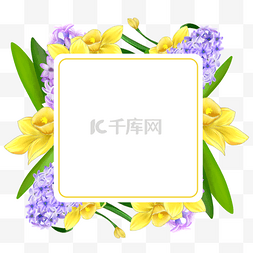 水彩风信子水仙花卉正方形边框美