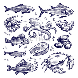 矢量鱼PNG图片_手工绘制的海产品海洋鱼类牡蛎贻