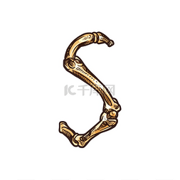 信德图片_骨骼中的假字母是孤立的符号矢量
