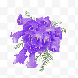 紫色花水彩图片_手绘水彩唯美小清新蓝花楹花卉花