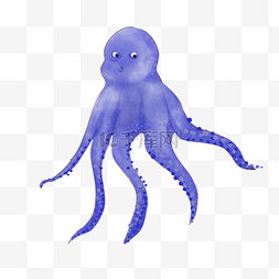 章鱼海洋生物水彩蓝色