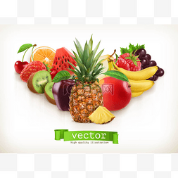葡萄和水果图片_菠萝和多汁的水果，矢量图上白色
