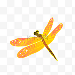 中国风古风描金蜻蜓