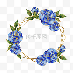 蓝色玫瑰花蓝金花朵花卉植物