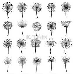 春天的花朵矢量图片_蓬松的蒲公英吹球花的花朵装饰轮