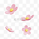3D立体春天粉色花卉