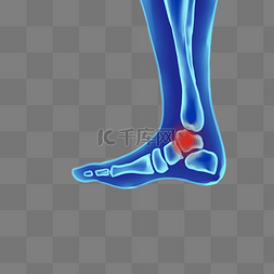 蓝色骨骼人体图片_科技人体骨骼脚环