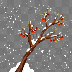 冬天冬季挂雪树枝