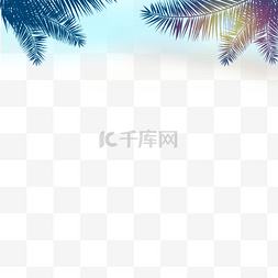 椰树叶子图片_阳光椰树棕榈树边框