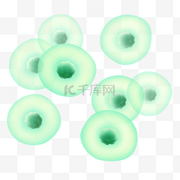 细胞图片_球形细胞圆形膜细胞写实绿色透明