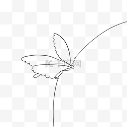 抽象线条画昆虫蝴蝶