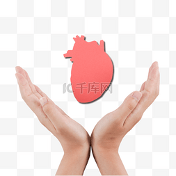 脏器缺氧图片_保护内脏心脏保健