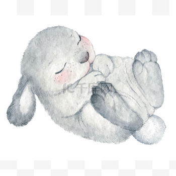 rabbit卡通兔_EPS_素材_图片-千库网