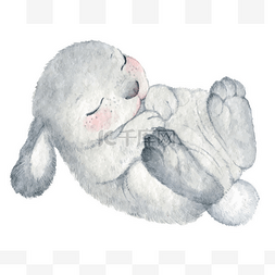 可爱水彩兔子图片_可爱的水彩兔子