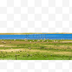 骑行青海湖图片_青海夏天西宁青海湖羊群