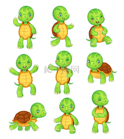 矢量动物插画图片_卡通龟。可爱的孩子龟, 野生动物