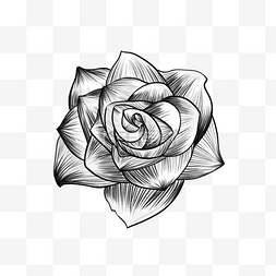 黑白素描玫瑰图片_素描黑白复古风卡通玫瑰插画