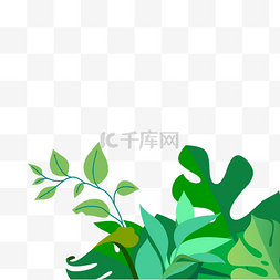 植物叶子绿叶