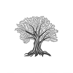 希腊科柱子图片_橄榄树图标，有树叶和树枝、橄榄