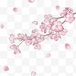春季粉色水彩樱花