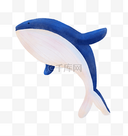 海洋生命海豚