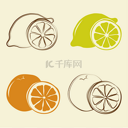 柠檬和橙色图标-矢量图