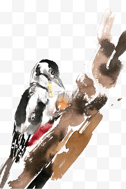 啄核桃的啄木鸟