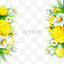 黄色菊花花朵边框