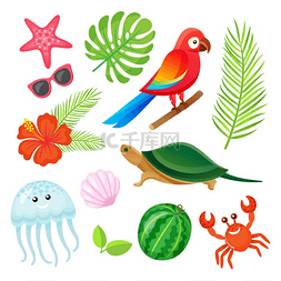 鹦鹉鸟、蕨叶、螃蟹和贝壳、水母