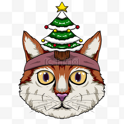 头戴圣诞树帽子的可爱猫咪肖像