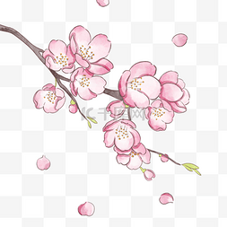 美好春天粉色樱花