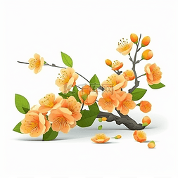 一枝漂亮的杏花花枝