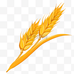 小麦麦穗图片_小麦麦穗黄色剪贴画