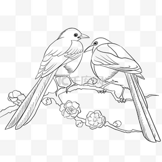 七夕七夕节线描喜鹊