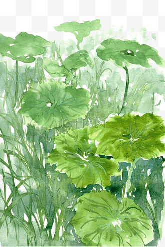 水墨画水草图片_水墨画水草素材-水墨画水草图片大全-千库网