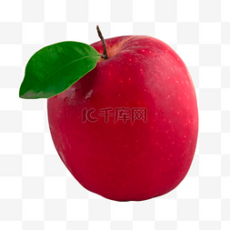 苹果维生素水果果实