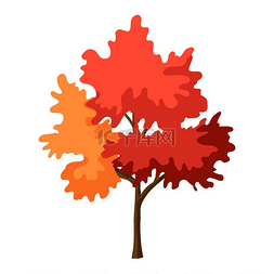 黄金风铃木图片_橙色的秋树简单风格的插图秋天的