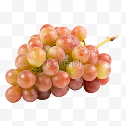 葡萄熟了图片_新鲜水果葡萄