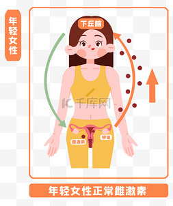 国际更年期关怀日女性健康生理雌