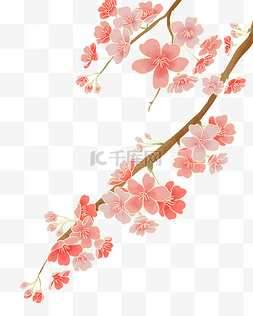 樱花动图贴片图片_樱花春天樱花树樱花花瓣