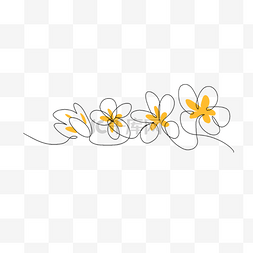 盛开的花矢量图片_黄色花芯抽象茉莉花