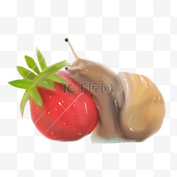 红色果子上的蜗牛