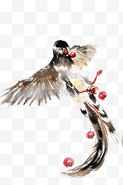 展翅飞翔的鸟图片_吃樱桃的鸟水墨