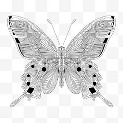 黑白几何几何图片_黑白几何线条画蝴蝶填色本